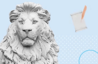 Развенчиваем мифы: 10 вопросов каждого школьного учителя